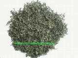 Bi Luo Chun Tea