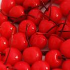 Canned Cherry