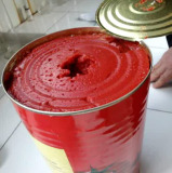 Tomato Paste