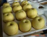 Golden Pear