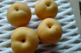 Xingdao Pear