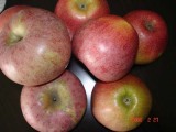 Shaanxi Qinguan Apple