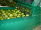 Grape Fruit