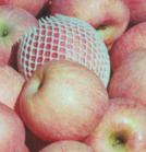 Fuji Apple