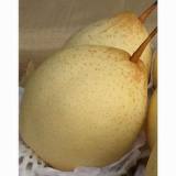 Ya Pear