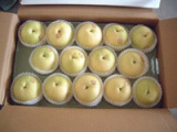 Century Pear