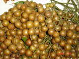 Longan