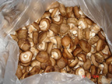 Canned Mushroom