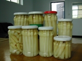Canned Asparagus