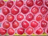Huaniu Apple
