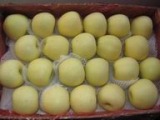 Golden Apple