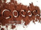 Alkalzied Cocoa Powder for Ice Cream Products (10