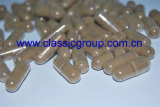 Reishi Mushroom Extract Capsules Tablets OEM