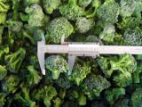 IQF Frozen Broccoli