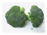 Fresh Broccoli