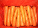 Fresh  Carrot  In  Carton s