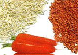 Dehydrate  Vegetables   Carrot  Flake/Granule/Ring (DC)