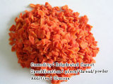 Carrot Powder/Carrot Cube/Carrot Slice (DV002)