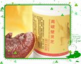  Reishi  Mushroom  Spore   Powder   Capsule  With High Shell Broken Rate