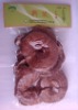150g Reishi Fruit Body