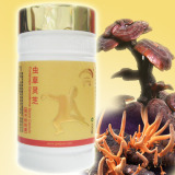Cordyceps Sinensis Lingzhi Spore Powder Capsule