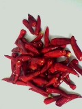 Dried Chilli (Xiao Mi Chilli)