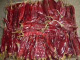 America Red Chilli
