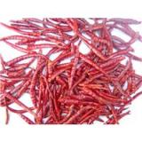 Sun Dried Chilli (TH01)