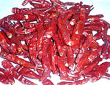  Wangdu   Chilli 