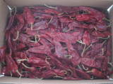 Yidu Chilli
