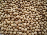 White Pepper Whole