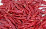 Warhead Chili