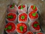 Fresh Sweet Pepper