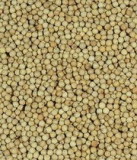 White Pepper
