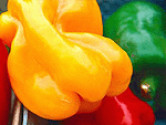 Fresh Vegetable (01)