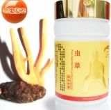  Cordyceps   Capsules 