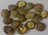 Dried Shiitake Mushroom