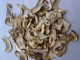  Dried   Yellow  Porcino  Mushroom 