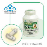 Sheep Placenta Capsule
