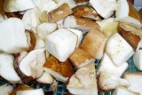 Frozen Boletus Edulis