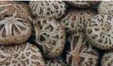 Dried Shiitake Mushroom