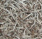 1.5mm Shiitake Mushroom Stem Strip