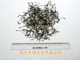 White Back Black Fungus Strip