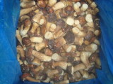 Frozen Boletus Edulis Crop 2009