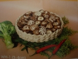 White Flower Mushroom (WH