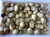 Straw Mushroom in Brine (LF