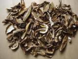 Dried Boletus Edulis Grade B1