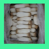 Fresh Mushroom (FDM