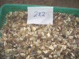 Frozen Boletus Edulis Cube