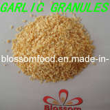 Dehydrated Garlic Granules 8-16 Mesh (BL011)